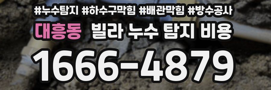 대흥동 빌라 누수 탐지 비용