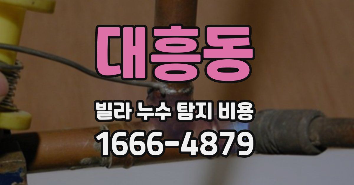 대흥동 빌라 누수 탐지 비용