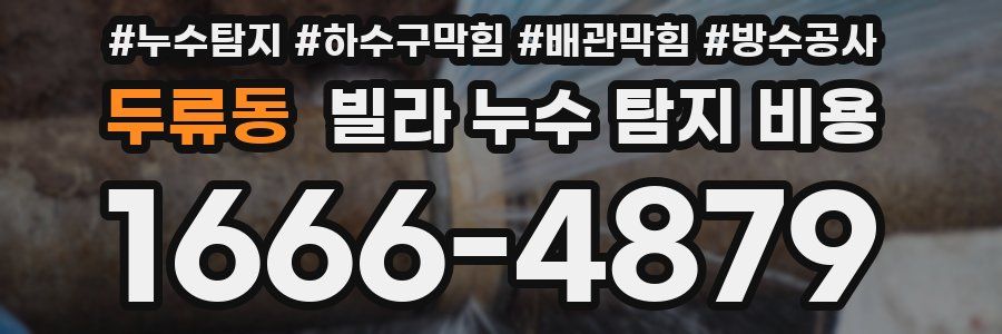 두류동 빌라 누수 탐지 비용