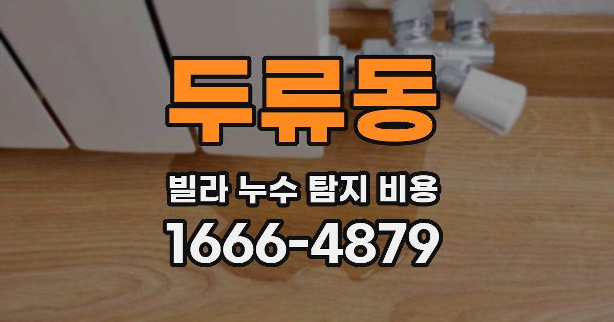 두류동 빌라 누수 탐지 비용