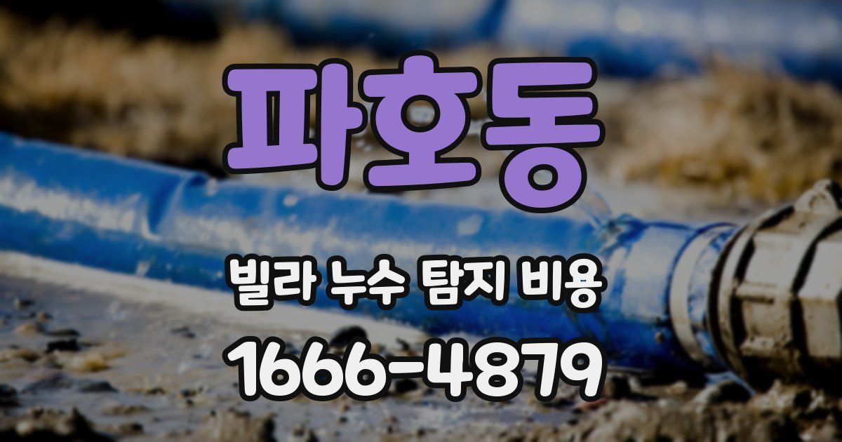 파호동 빌라 누수 탐지 비용