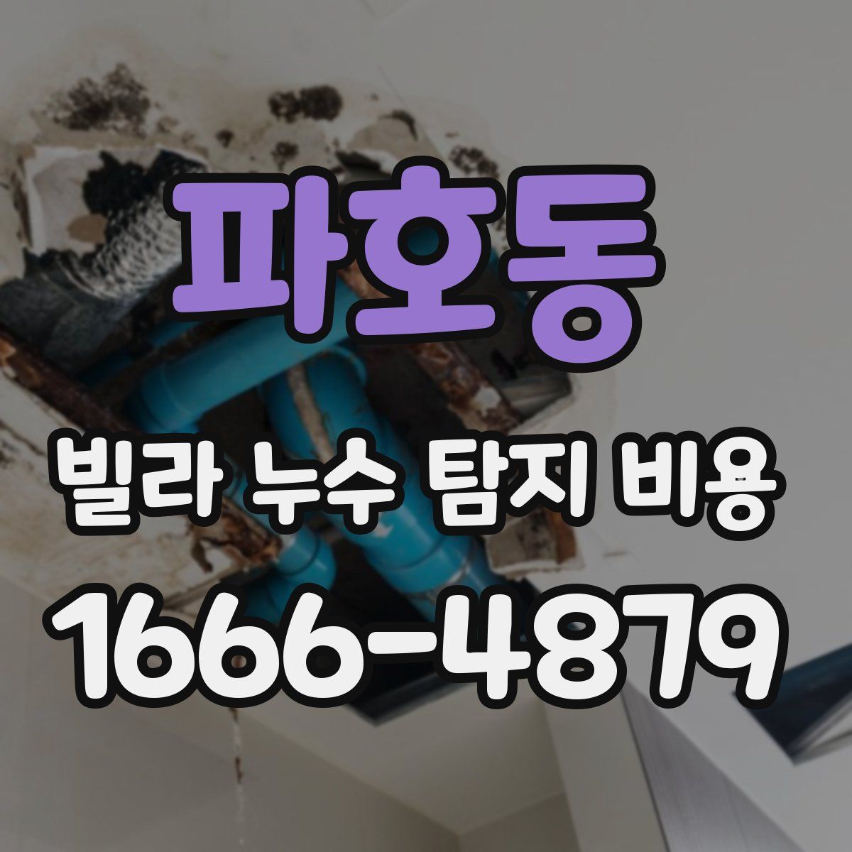 파호동 빌라 누수 탐지 비용