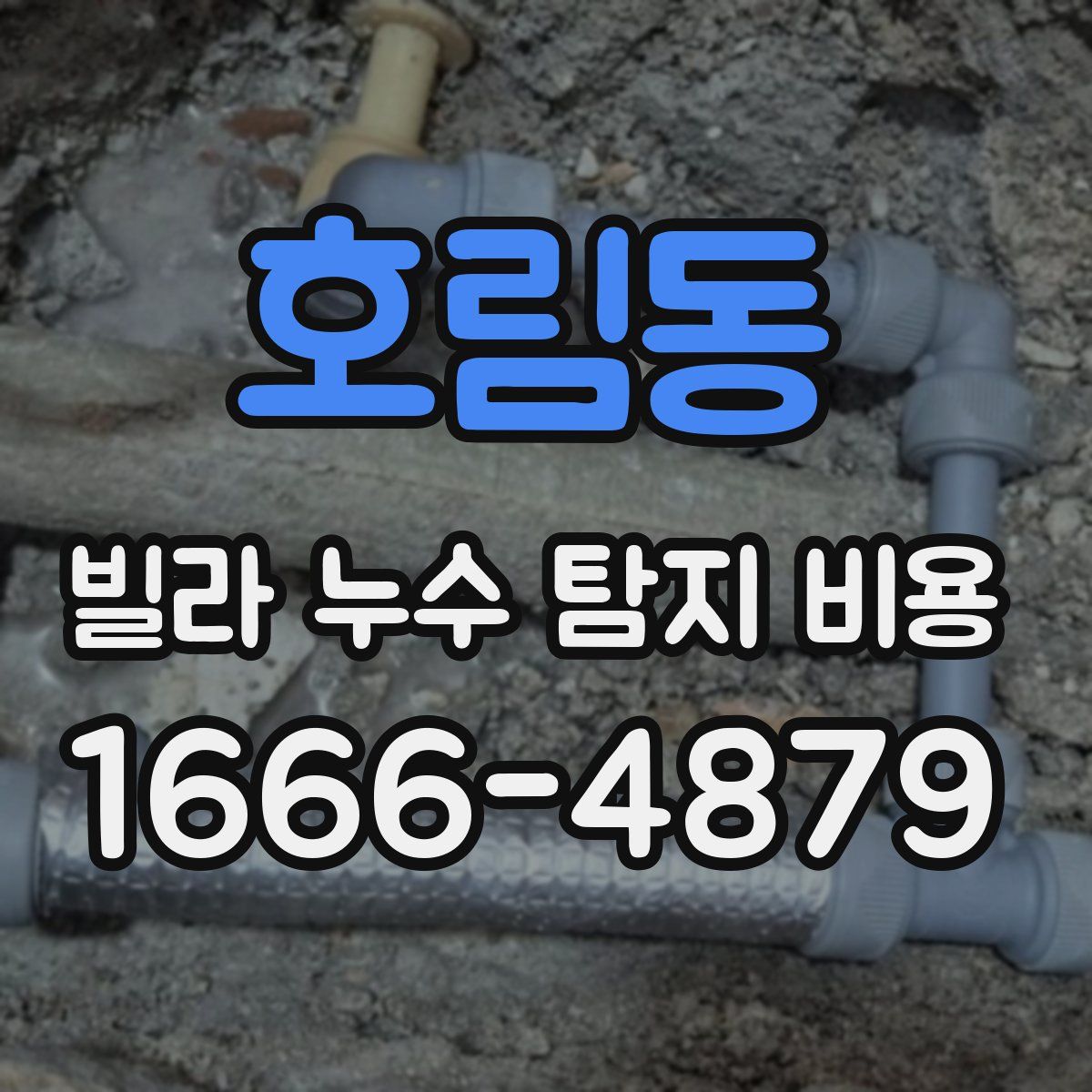 호림동 빌라 누수 탐지 비용