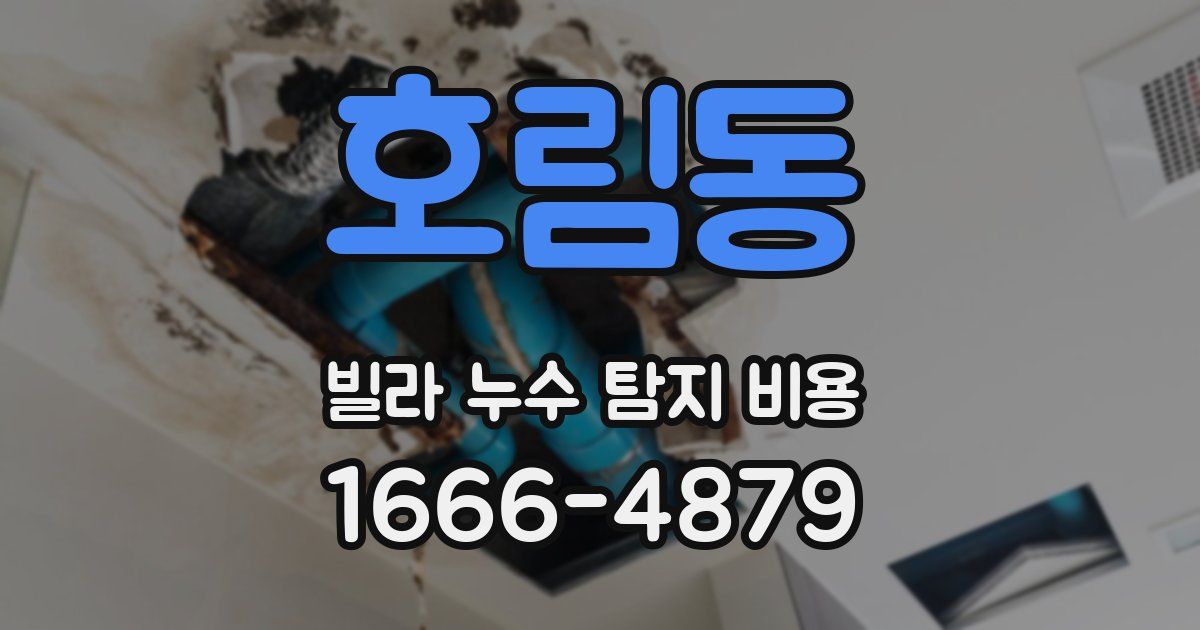 호림동 빌라 누수 탐지 비용