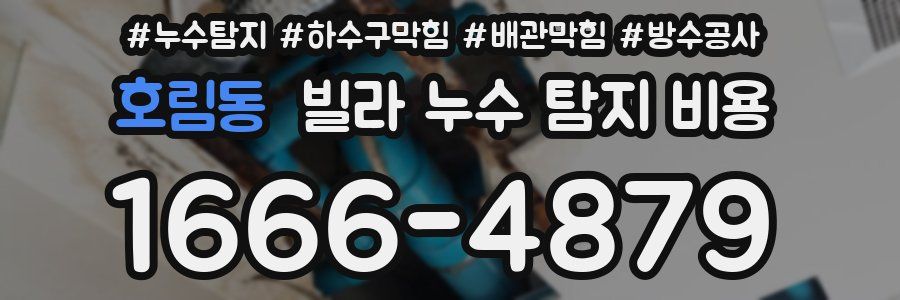 호림동 빌라 누수 탐지 비용
