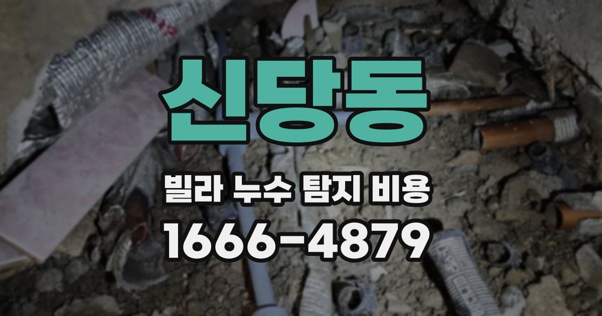신당동 빌라 누수 탐지 비용