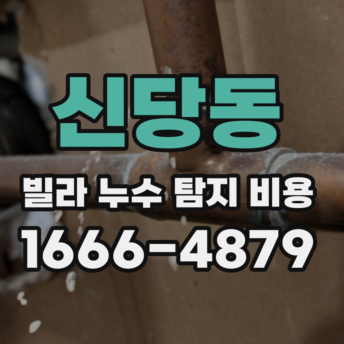 신당동 빌라 누수 탐지 비용