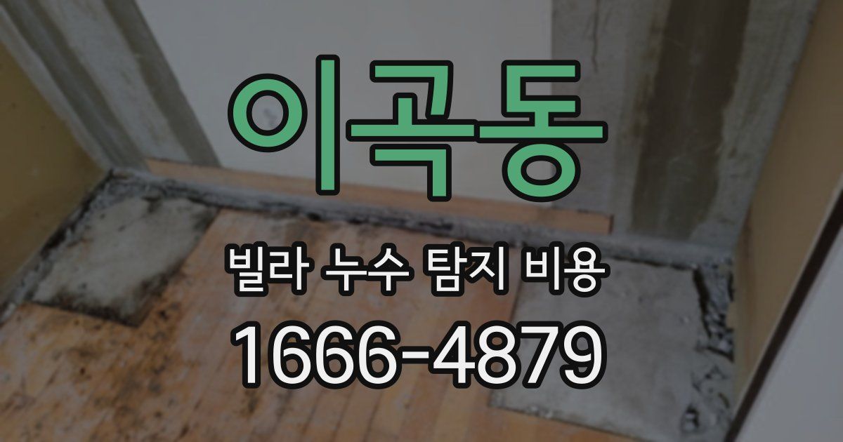 이곡동 빌라 누수 탐지 비용