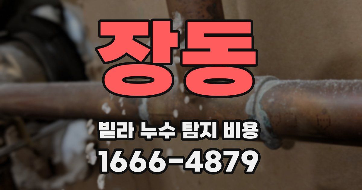 장동 빌라 누수 탐지 비용