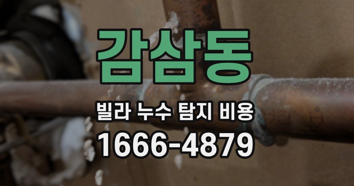 감삼동 빌라 누수 탐지 비용