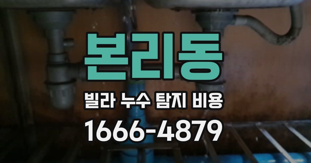 본리동 빌라 누수 탐지 비용