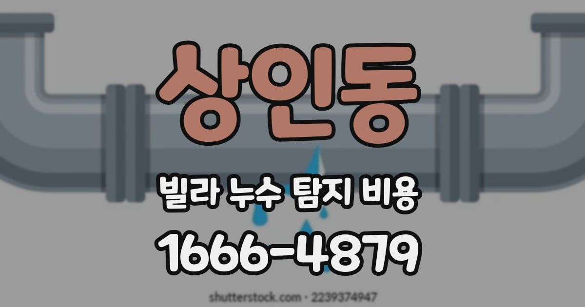 상인동 빌라 누수 탐지 비용