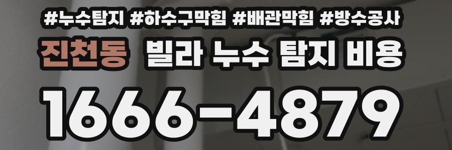 진천동 빌라 누수 탐지 비용