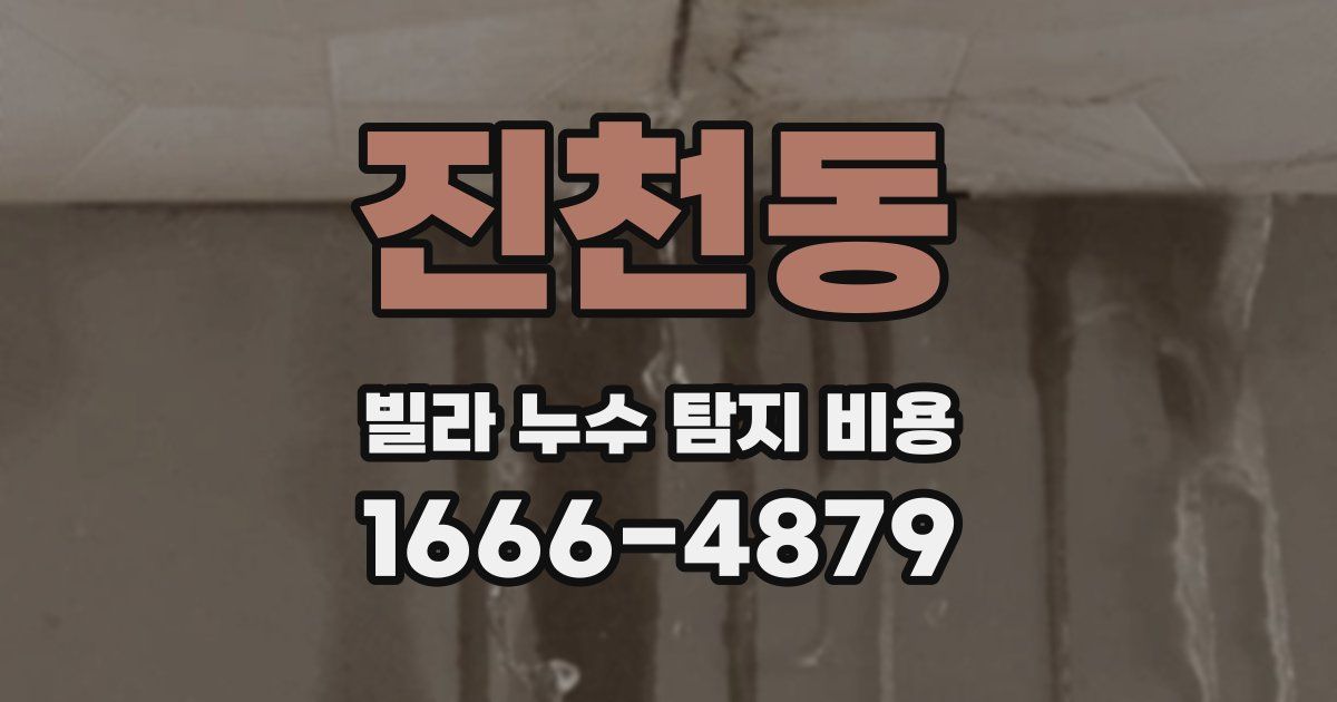 진천동 빌라 누수 탐지 비용