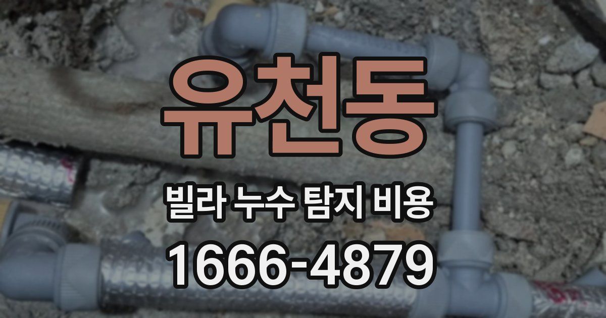 유천동 빌라 누수 탐지 비용