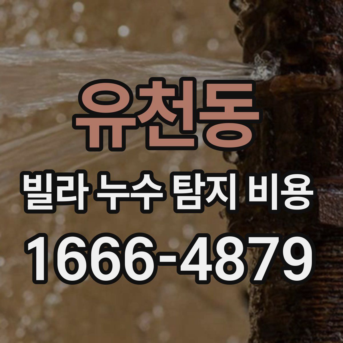 유천동 빌라 누수 탐지 비용