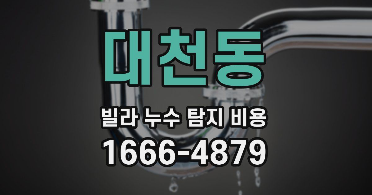 대천동 빌라 누수 탐지 비용