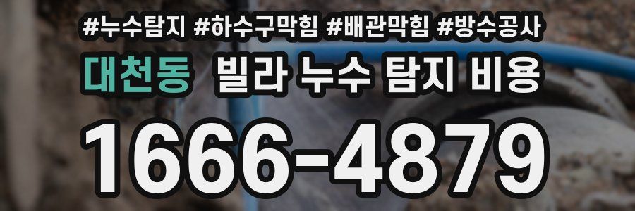 대천동 빌라 누수 탐지 비용