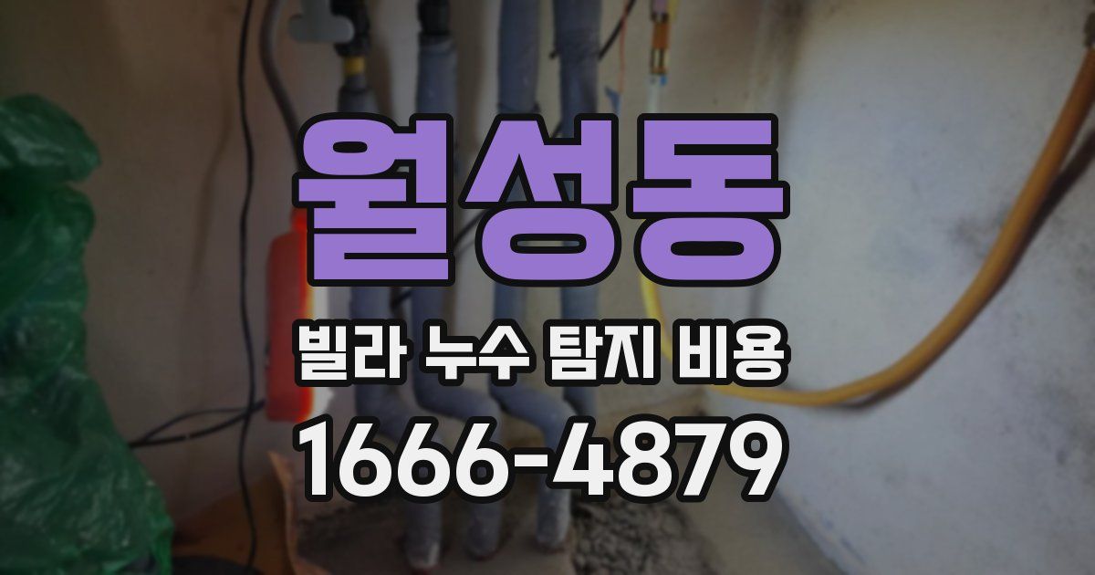 월성동 빌라 누수 탐지 비용