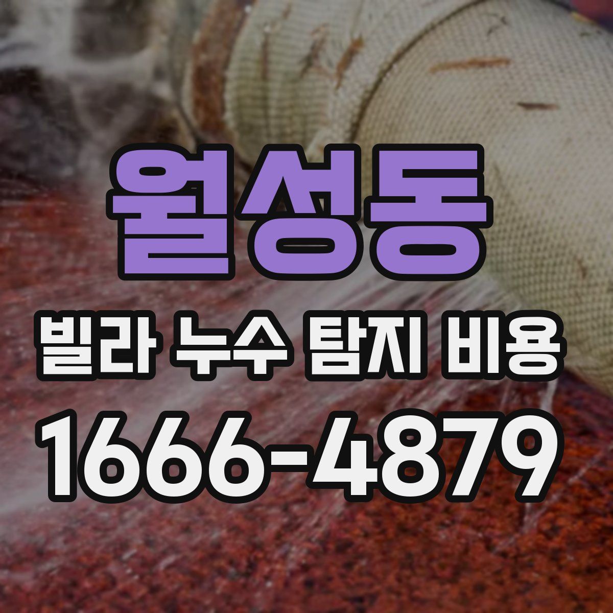 월성동 빌라 누수 탐지 비용