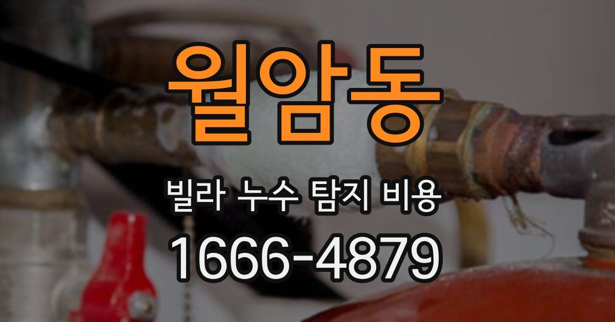 월암동 빌라 누수 탐지 비용