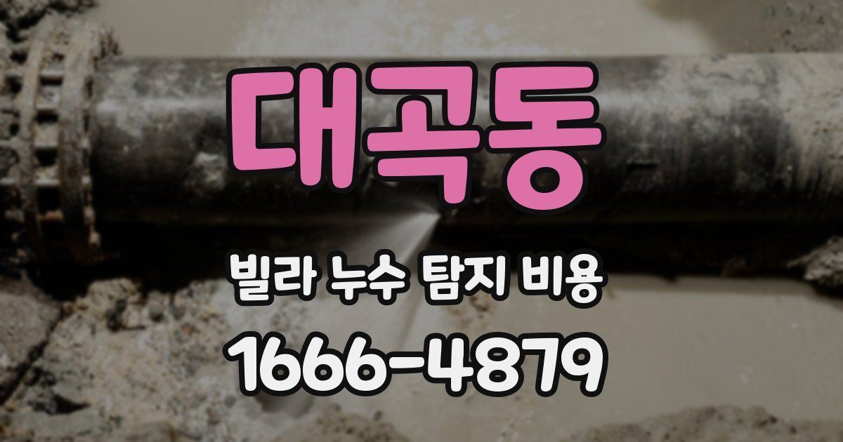 대곡동 빌라 누수 탐지 비용