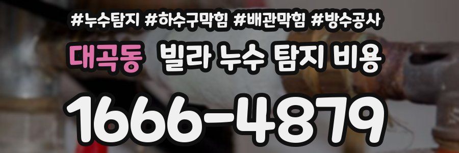 대곡동 빌라 누수 탐지 비용