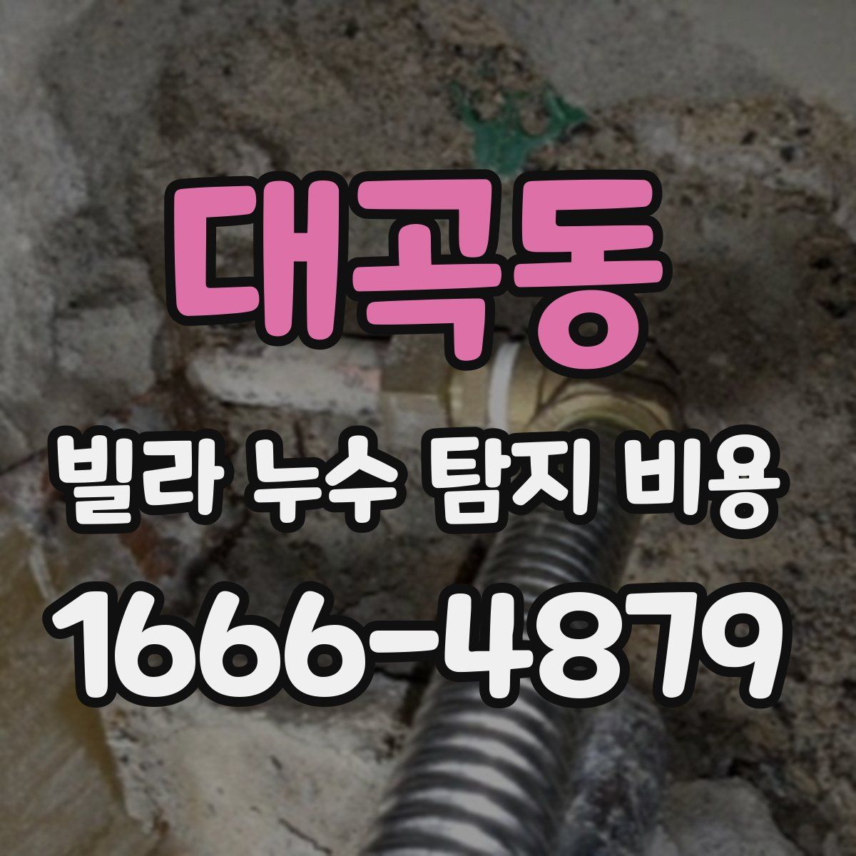 대곡동 빌라 누수 탐지 비용