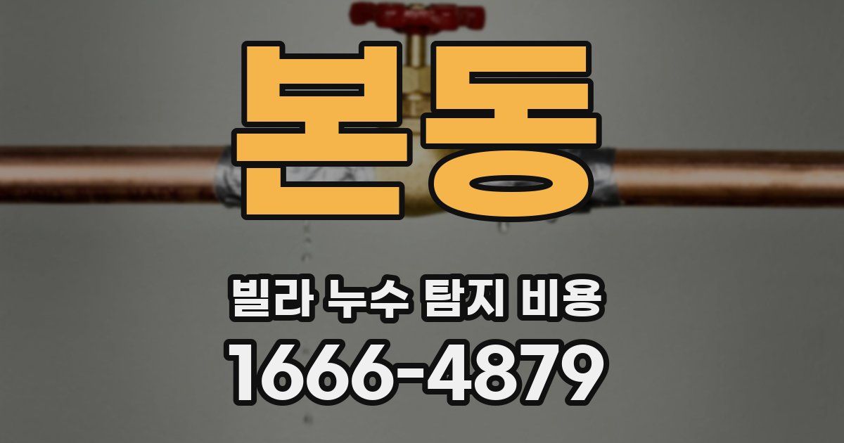 본동 빌라 누수 탐지 비용