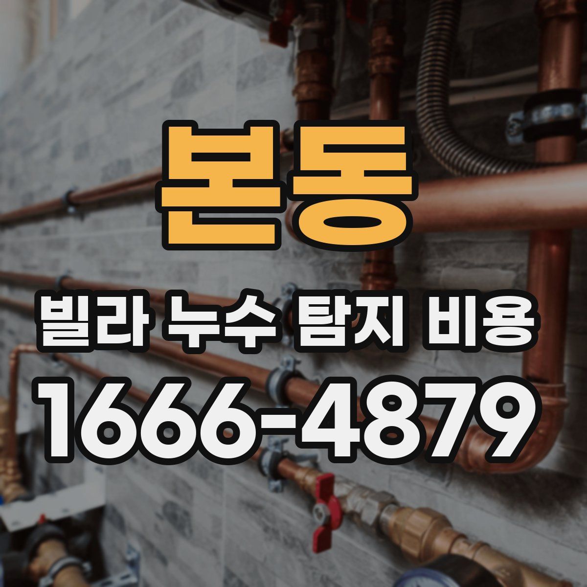본동 빌라 누수 탐지 비용