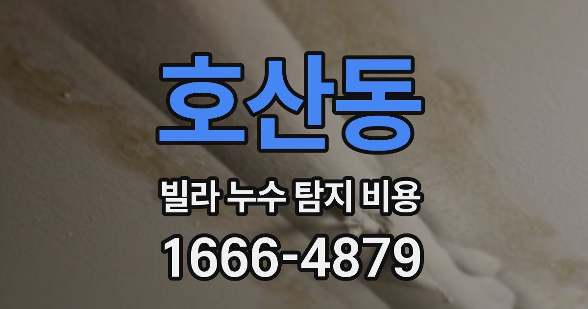 호산동 빌라 누수 탐지 비용