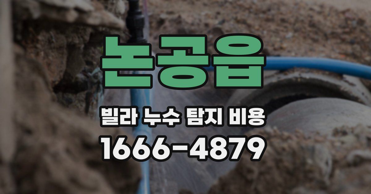 논공읍 빌라 누수 탐지 비용
