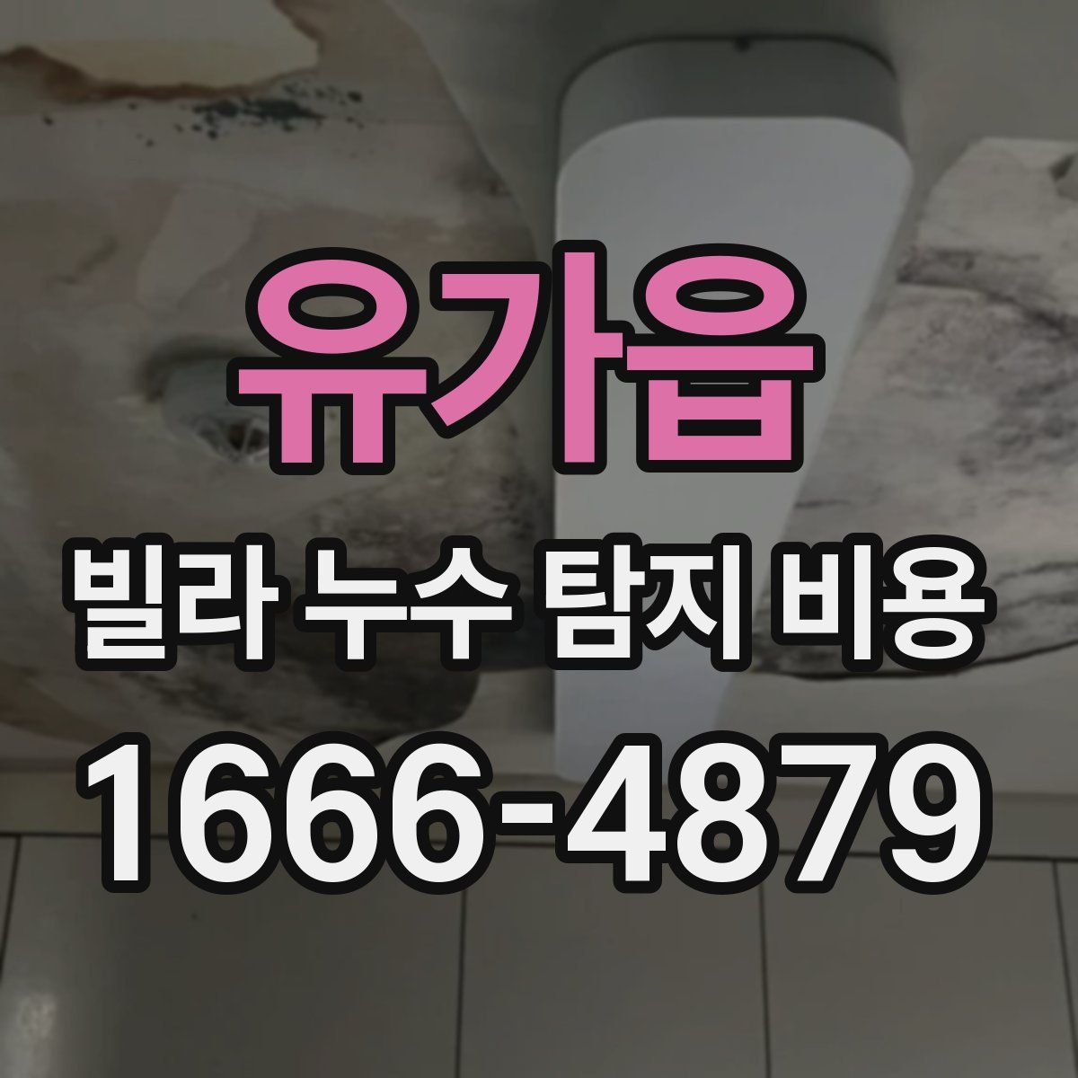 유가읍 빌라 누수 탐지 비용