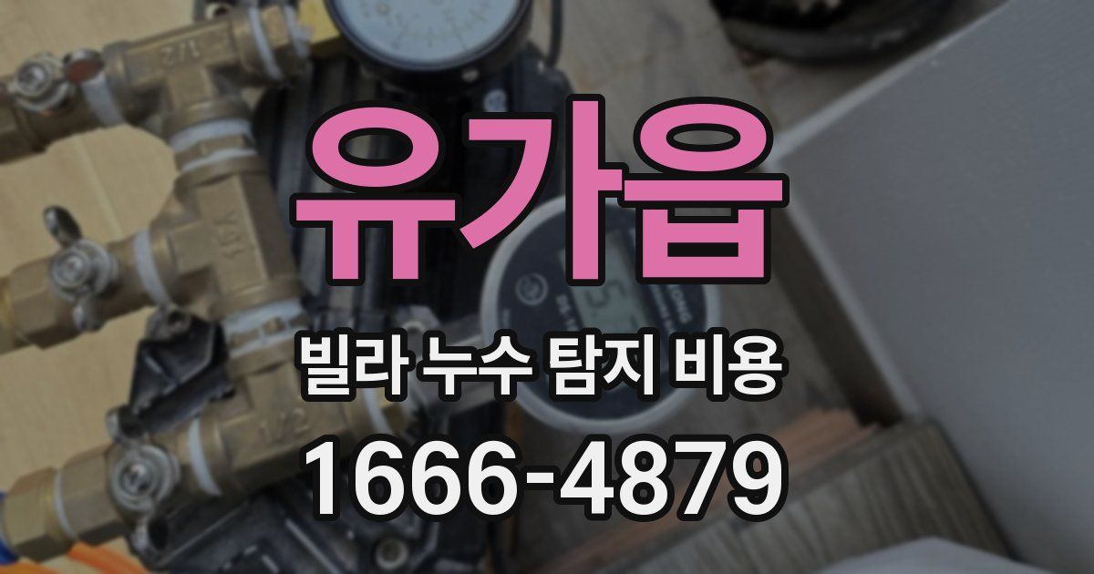 유가읍 빌라 누수 탐지 비용