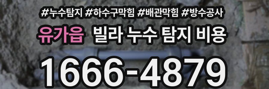 유가읍 빌라 누수 탐지 비용