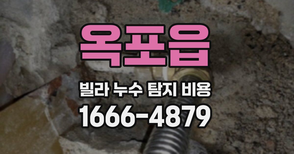 옥포읍 빌라 누수 탐지 비용