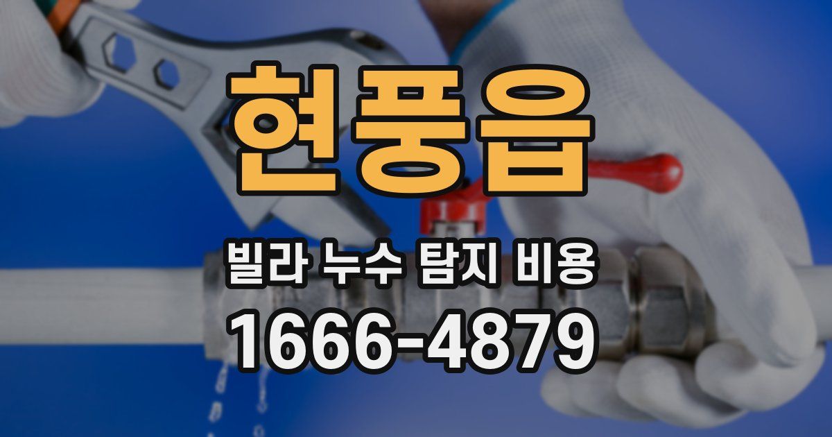 현풍읍 빌라 누수 탐지 비용