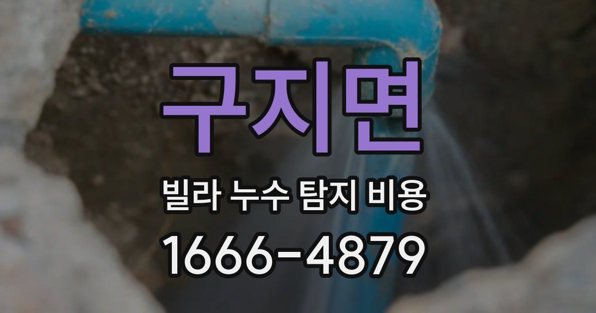 구지면 빌라 누수 탐지 비용