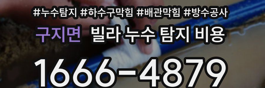 구지면 빌라 누수 탐지 비용