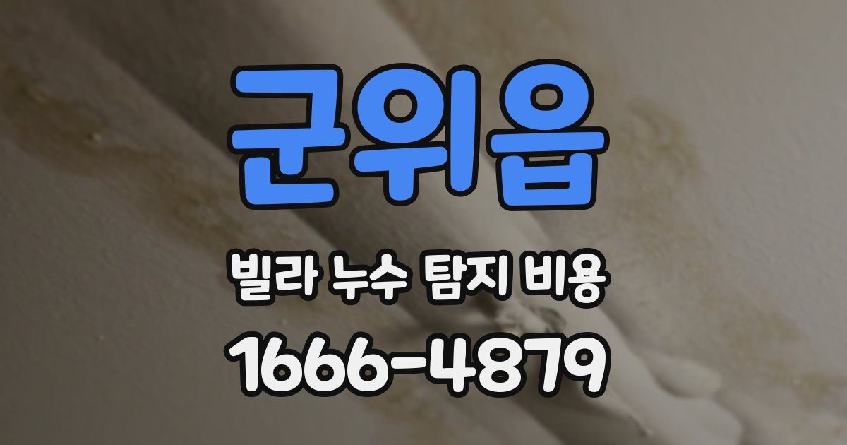 군위읍 빌라 누수 탐지 비용