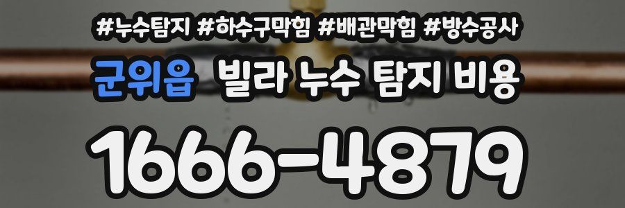 군위읍 빌라 누수 탐지 비용