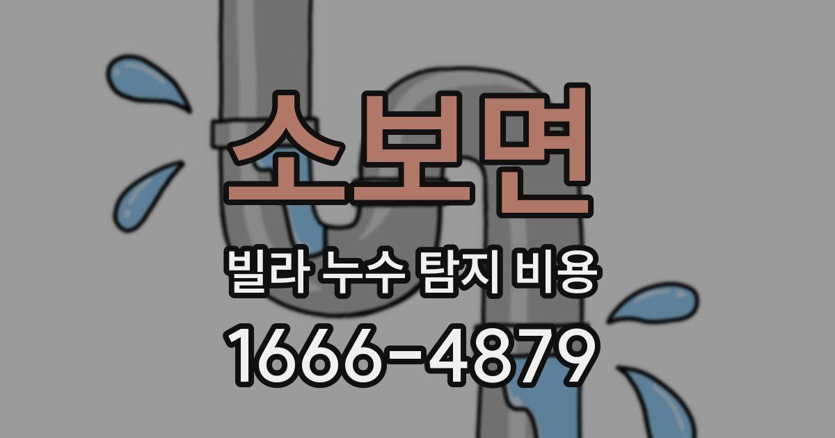 소보면 빌라 누수 탐지 비용