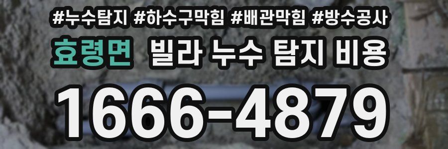 효령면 빌라 누수 탐지 비용