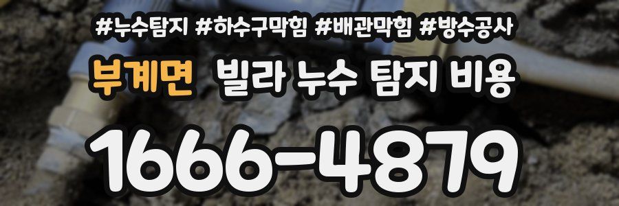 부계면 빌라 누수 탐지 비용