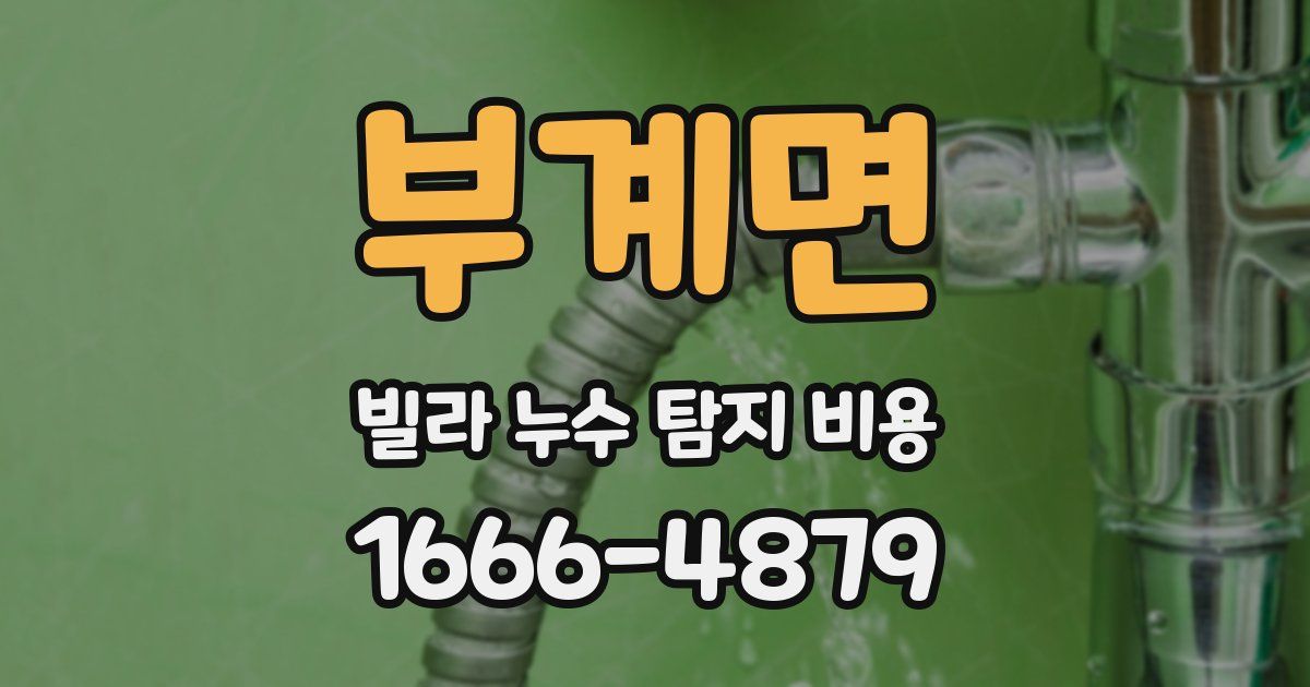 부계면 빌라 누수 탐지 비용