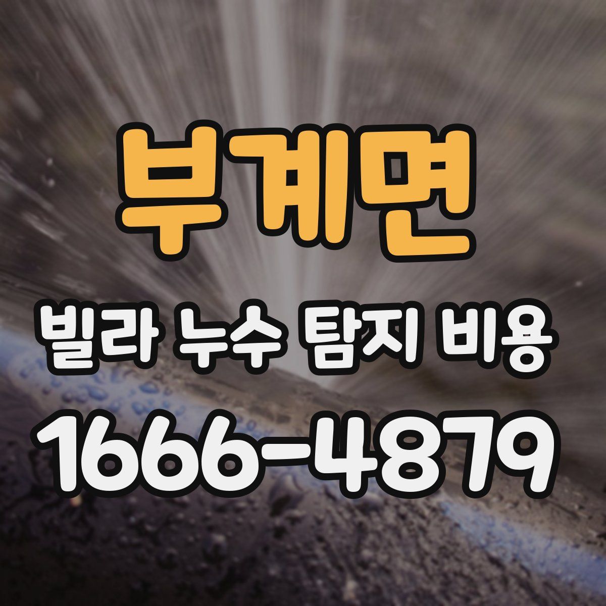 부계면 빌라 누수 탐지 비용
