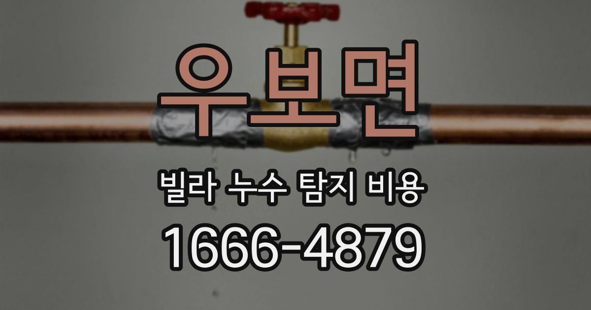 우보면 빌라 누수 탐지 비용