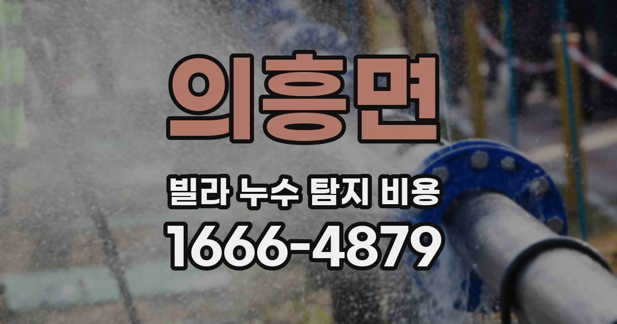 의흥면 빌라 누수 탐지 비용