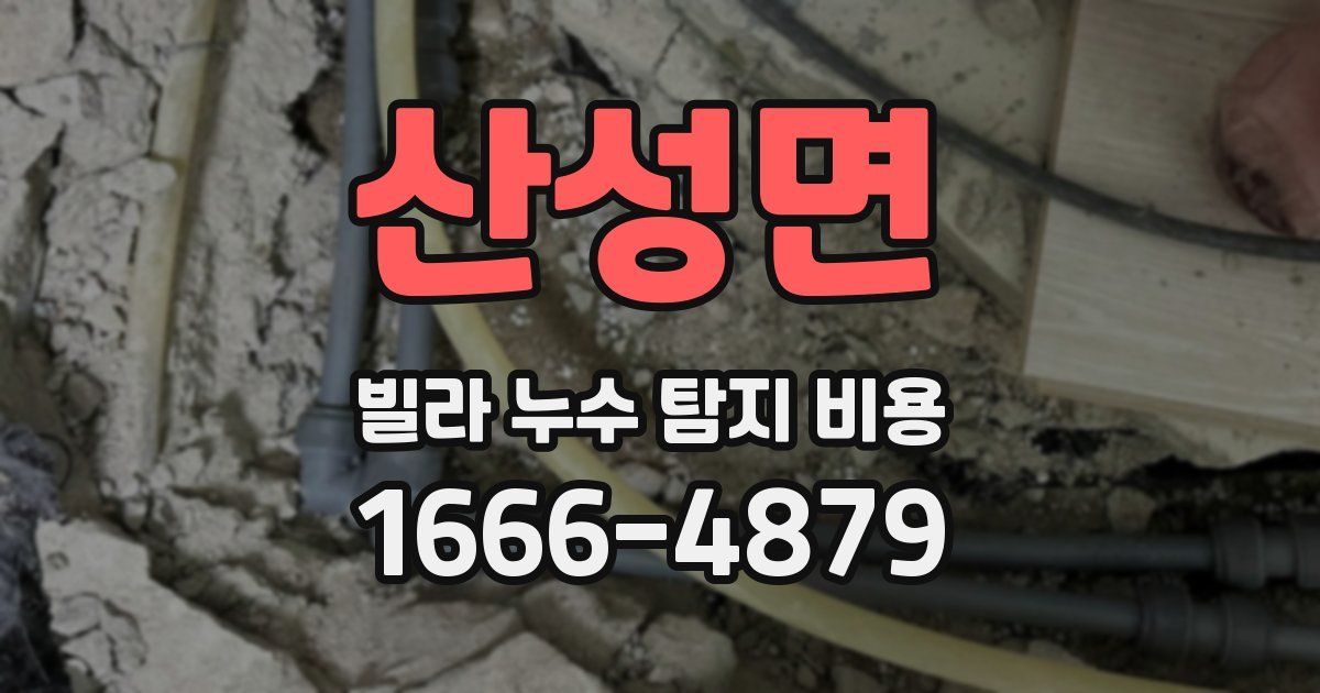 산성면 빌라 누수 탐지 비용