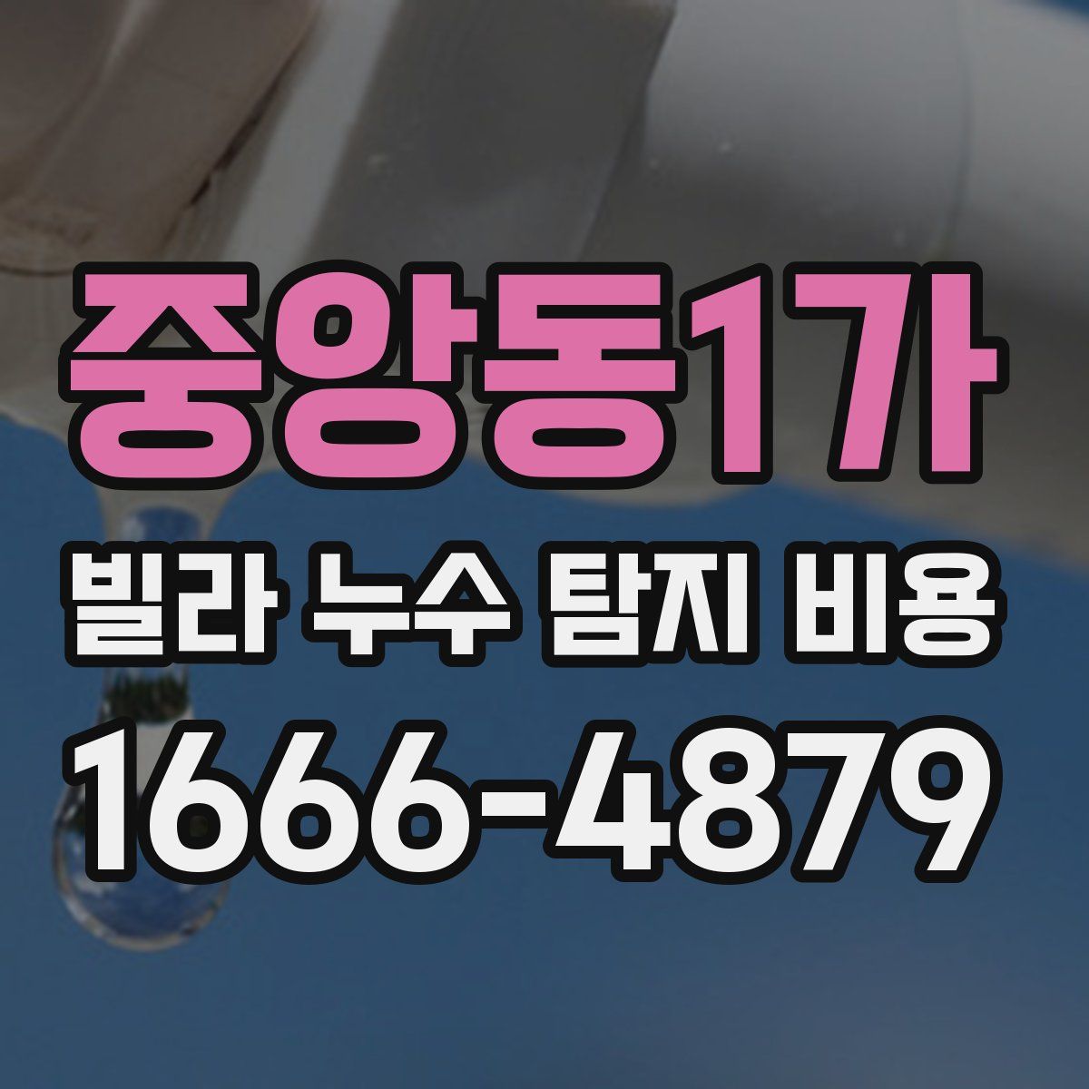 중앙동1가 빌라 누수 탐지 비용